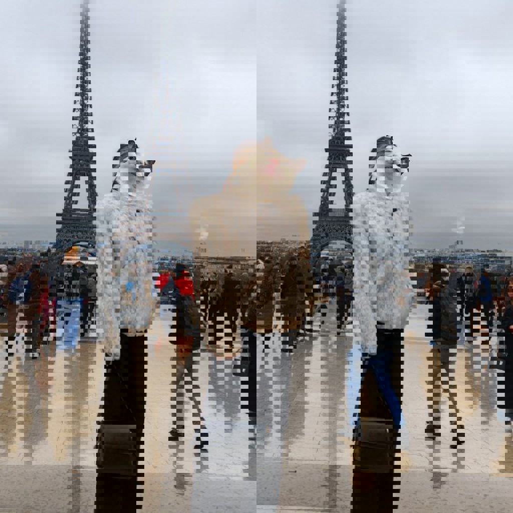 Шуба из кролика