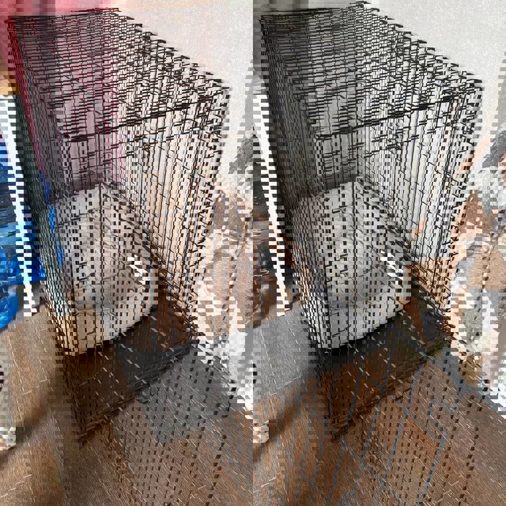 Клетка для собаки