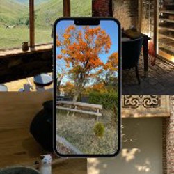 IPhone 12 - фото 4