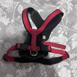 Эмоциональный шторм - фото 1