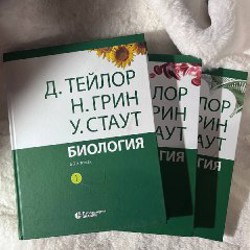 Эмоциональный шторм - фото 6