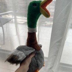 Монитор Benq 27’ PD2705Q - фото 10