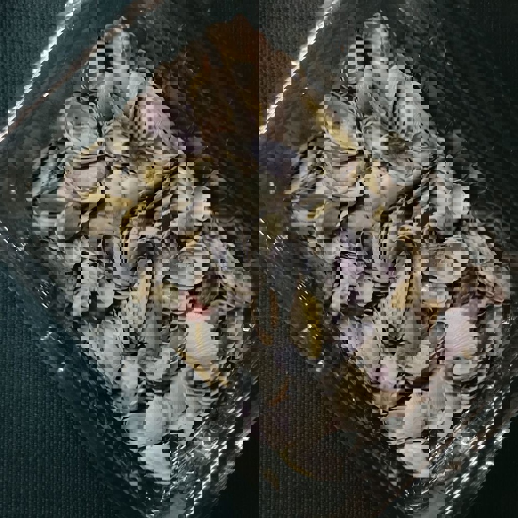 Коробка ракушек