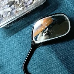 Коробка ракушек - фото 5