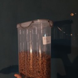 Миска для котят - фото 2