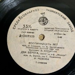 Пластинки для ДЕКОРА - фото 3