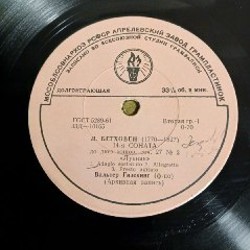 Пластинки для ДЕКОРА - фото 8