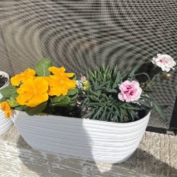 Клубника - фото 1