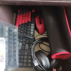 Мышка - фото 1