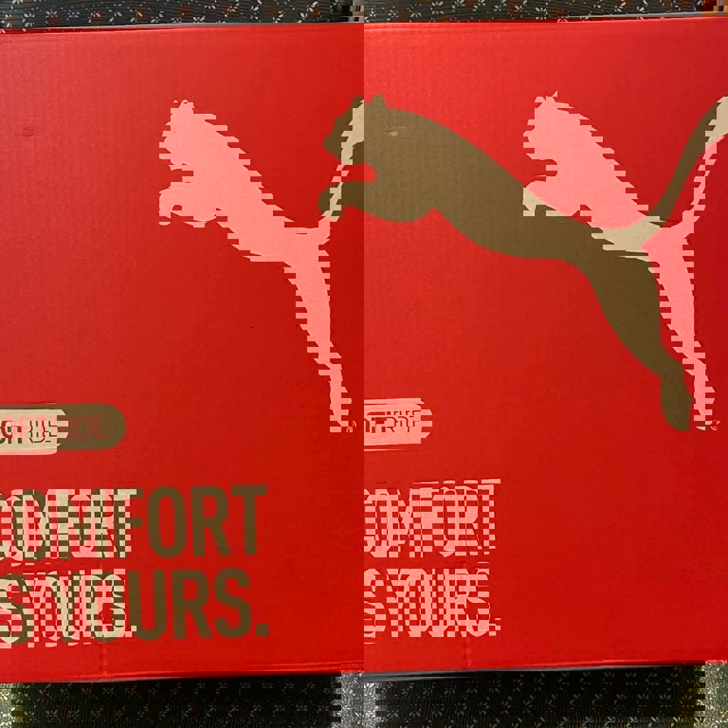 Кроссовки PUMA Softride Enzo 5