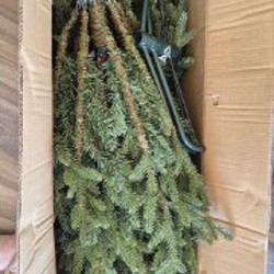 Ёлка - фото 3