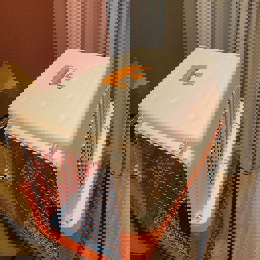 Переноска для кошки или собаки