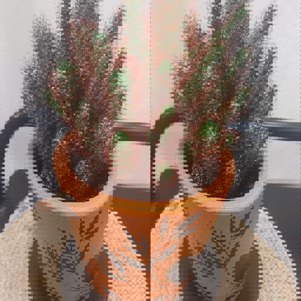 Искусственный снег