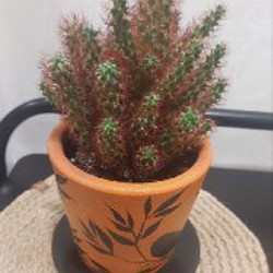 Искусственный снег - фото 1