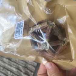 Тесты кошачьи на чумку панлейкопению - фото 3