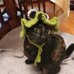 Шапка для кота - фото 5