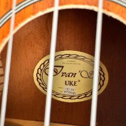 Укулеле концерт - фото 3