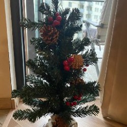 Маленькая елка - фото 4