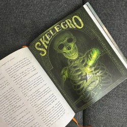 Гарри Поттер: Подарочное издание 1 и 2 том - фото 2