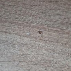 Письменный стол - фото 2