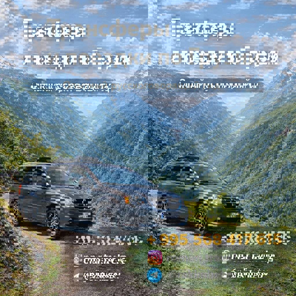 Трансферы и поездки по Грузии