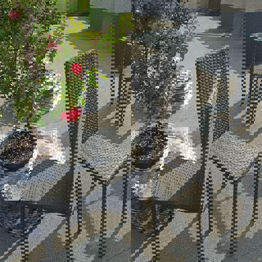 Уличные садовые стулья