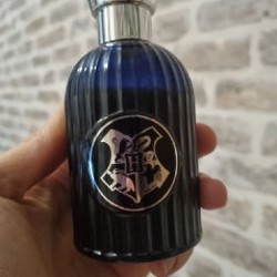 Мист Manoi - фото 3