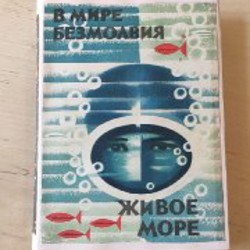 Жанна Д'Арк - фото 10