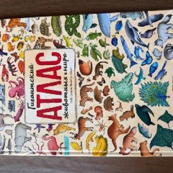 Учебные карточки по профессиям - фото 6