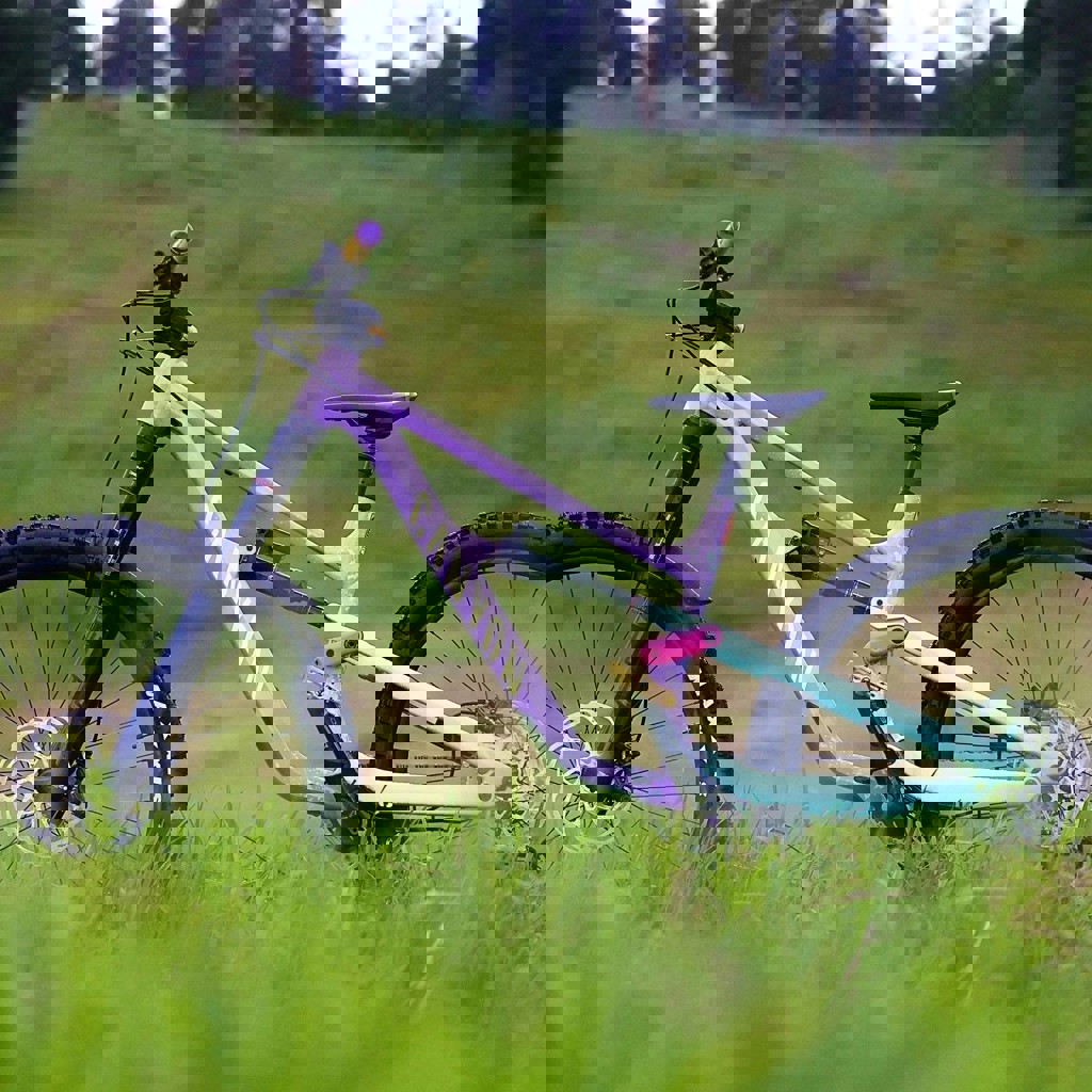 Велосипед Canyon Torque 29 AL 5