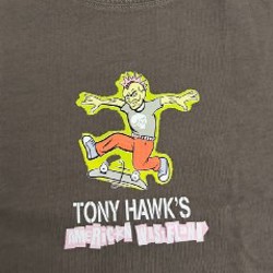 Футболка Y2K Tony Hawk's Pro Skater American Wasteland - фото 3