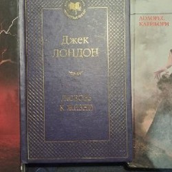 Сын охотника на медведей - фото 3