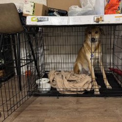 Стол для ноутбука - фото 9