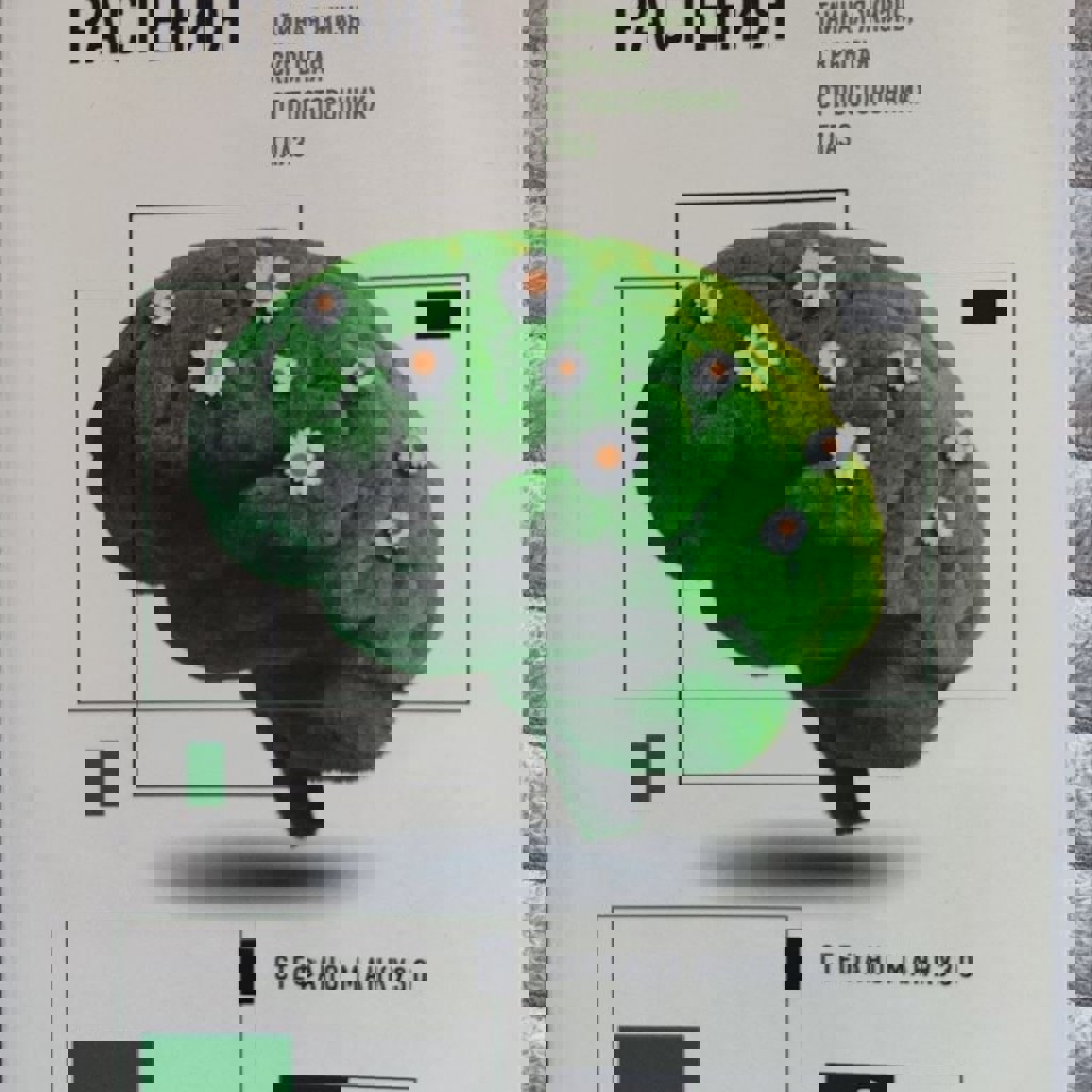 О чём думают растения