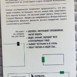 О чём думают растения - фото 2