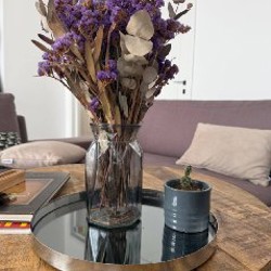 Кактус опунция в горшке - фото 2