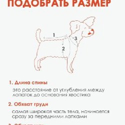 Дождевик Muzzle для собаки - фото 2