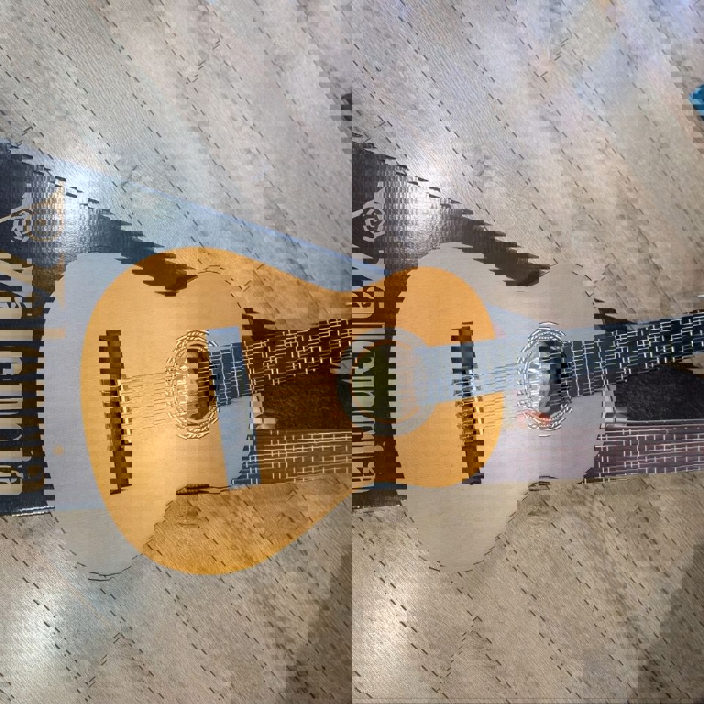 Гитара Valencia VC202