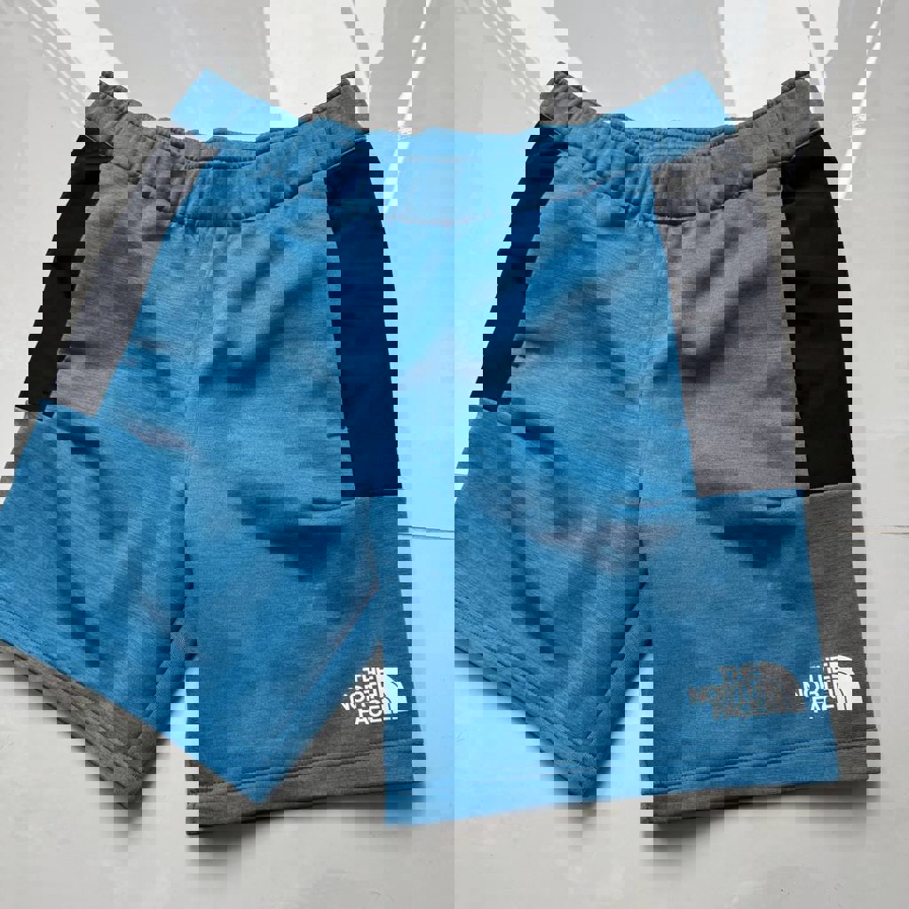 Шорты The North Face