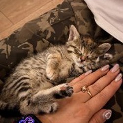 Куколки - фото 4