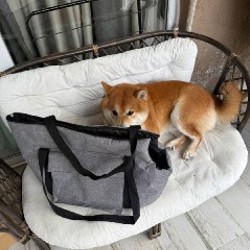 Мягкая переноска - фото 3