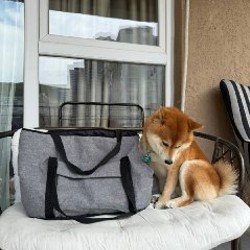 Мягкая переноска - фото 4