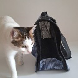 Переноска для животных - фото 2