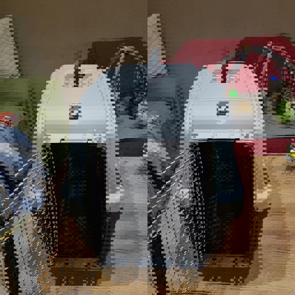 Воск для лап