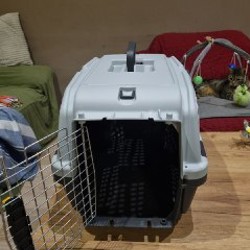 Воск для лап - фото 1