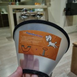 Воск для лап - фото 7