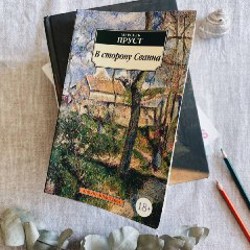 В сторону Сванна - фото 4