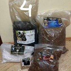 Растения - фото 4