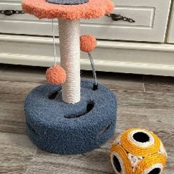 Комплект когтеточка и шар - фото 2