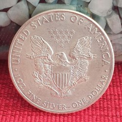 American Silver Eagle (2011) - фото 4